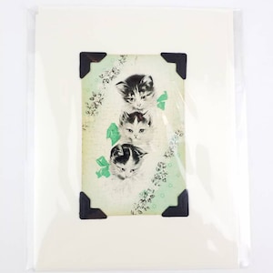May include: A vintage print featuring three kittens in a vertical arrangement. The kittens have black and white markings and are adorned with green bows. The background is a light green with floral patterns, and the print is mounted with black corner protectors.