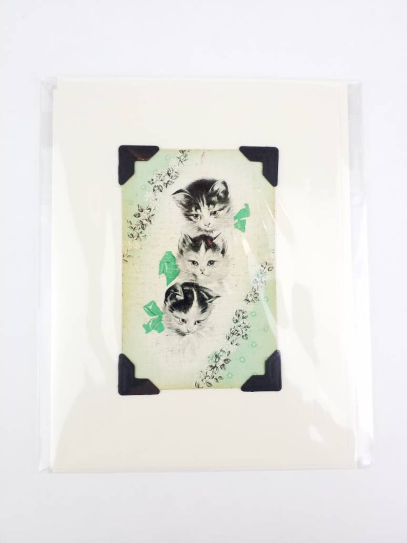 May include: A vintage print featuring three kittens in a vertical arrangement. The kittens have black and white markings and are adorned with green bows. The background is a light green with floral patterns, and the print is mounted with black corner protectors.