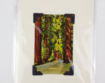 Greeting card made with vintage playing card, upcycled greeting card with California Redwoods Forest