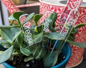 Custom Acrylic Garden Marker, Herb Stake, Plant Label