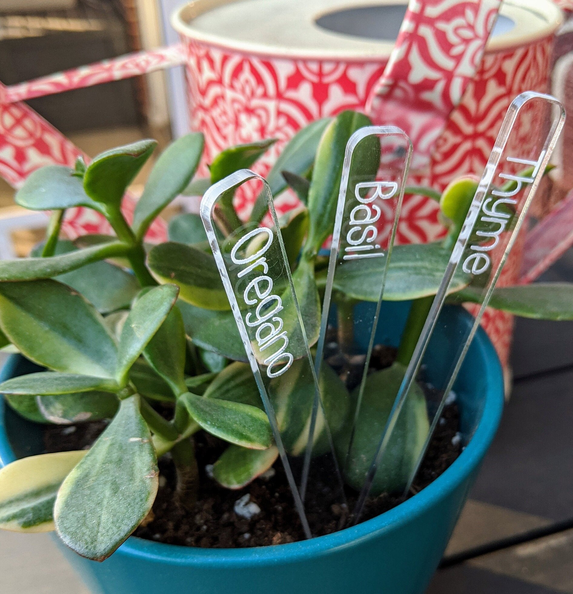 Custom Acrylic Garden Marker Herb Stake Plant Label Etsy Australia