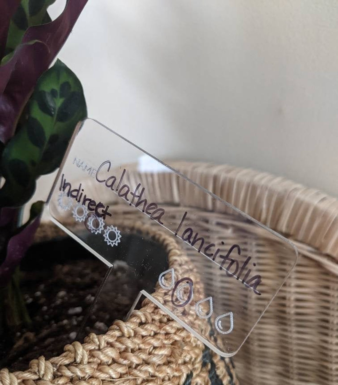 Plant Care Marker Reusable Plant Tag Laser Cut Acrylic Etsy