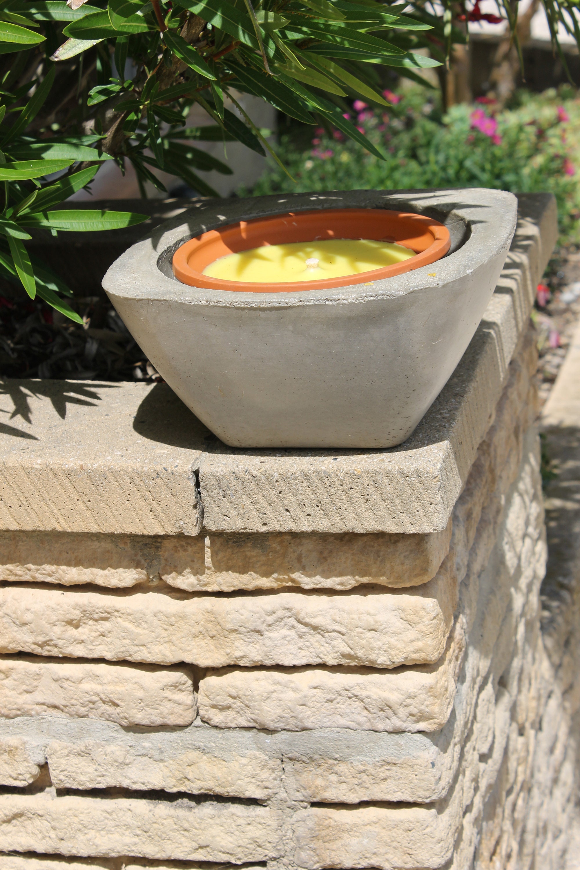 Jardinière en Ciment, Pot Cactus, Béton Décor