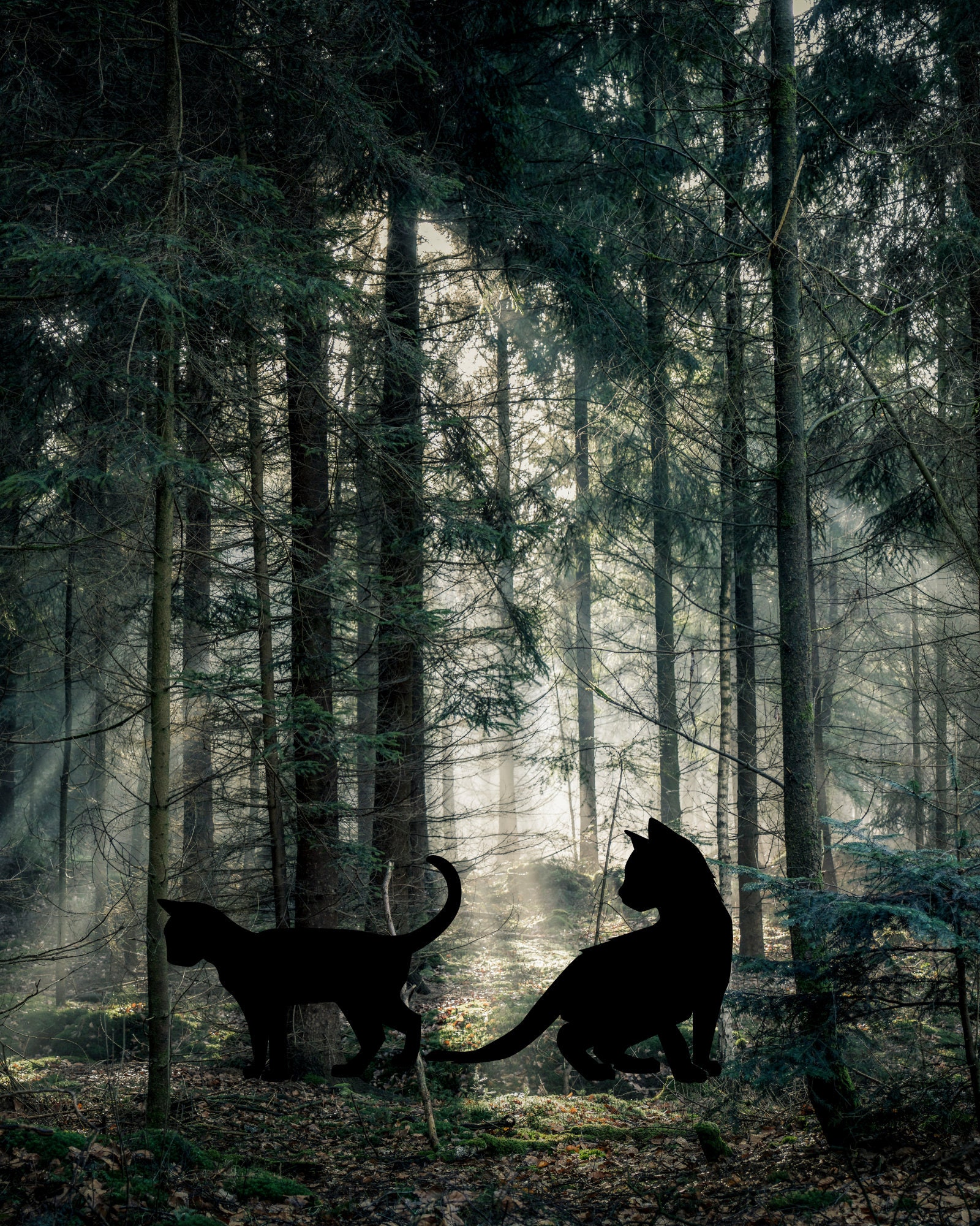 Cat Art Print Nature Wall Art Etsy