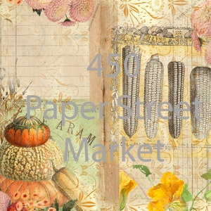 Puede incluir: Collage de estilo vintage con calabazas, ilustraciones de maíz y elementos florales. El diseño presenta una pila de calabazas naranjas y verdes, ilustraciones de maíz y el texto "Paper Street Market".