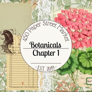 May include: A collage featuring botanical illustrations and ephemera. A central circular design reads "Botanicals Chapter 1" with "450 Paper Street Market" above and "EST. 2019" below. Includes a pink geranium flower, a vintage stamp, and ledger paper.