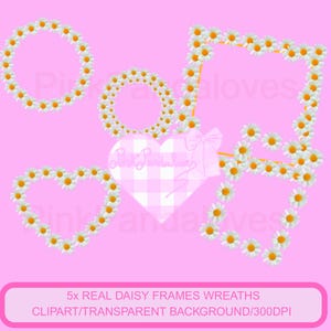 5 echte Gänseblümchen Clip Art Rahmen Blumen Kranz Herz Handwerk Einladungen Scrapbook Projekte Karten Becher Taschen Kleidung Hochzeit Drucke Foto