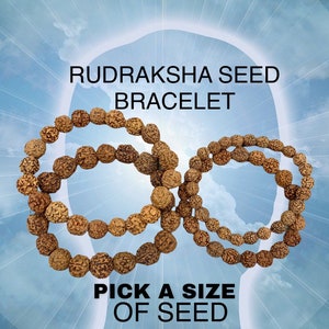 May include: Image of Rudraksha seed bracelets. The bracelets are made of brown seeds and are displayed against a blue and white background. The text "RUDRAKSHA SEED BRACELET" and "PICK A SIZE OF SEED" are also visible.