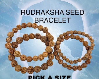 May include: Image of Rudraksha seed bracelets. The bracelets are made of brown seeds and are displayed against a blue and white background. The text "RUDRAKSHA SEED BRACELET" and "PICK A SIZE OF SEED" are also visible.