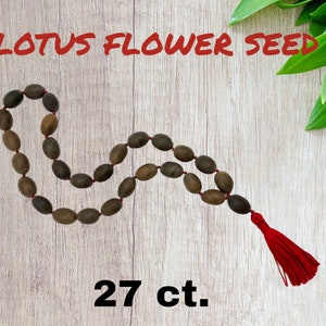 Lotus Seed Pocket Mala with Red Cotton Tassel, Alter Beads, Buddhist Prayer Beads, 27ct. Meditation Lotus Seed Mala, Kamalgatta, Yoga Gift