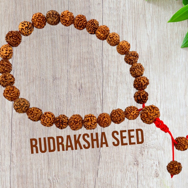Chunky Rudraksha Seed 27 count Pocket Mala, Chunky Big Seeds, Alter Beads, 5 face Rudraksha Seed Beads