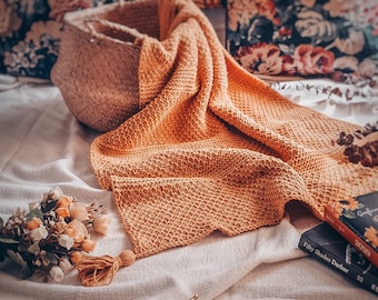 Vintage Tunisian Crochet Afghan Pattern: Easy Beginner Throw (PDF Pattern)