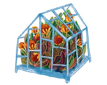 Greenhouse A6 Postcard Greeting Card Birthday Card