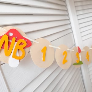 Mushroom 12 month Photo Banner, Toadstool Party, Fairy 1st Birthday, One Fungi