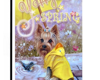 yorkie raincoat
