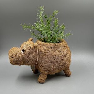 May include: A whimsical, brown hippo-shaped planter made from woven material. The planter is filled with green, leafy faux plants. The hippo has small, dark eyes and four stubby legs. A decorative tag hangs from the hippo's side.