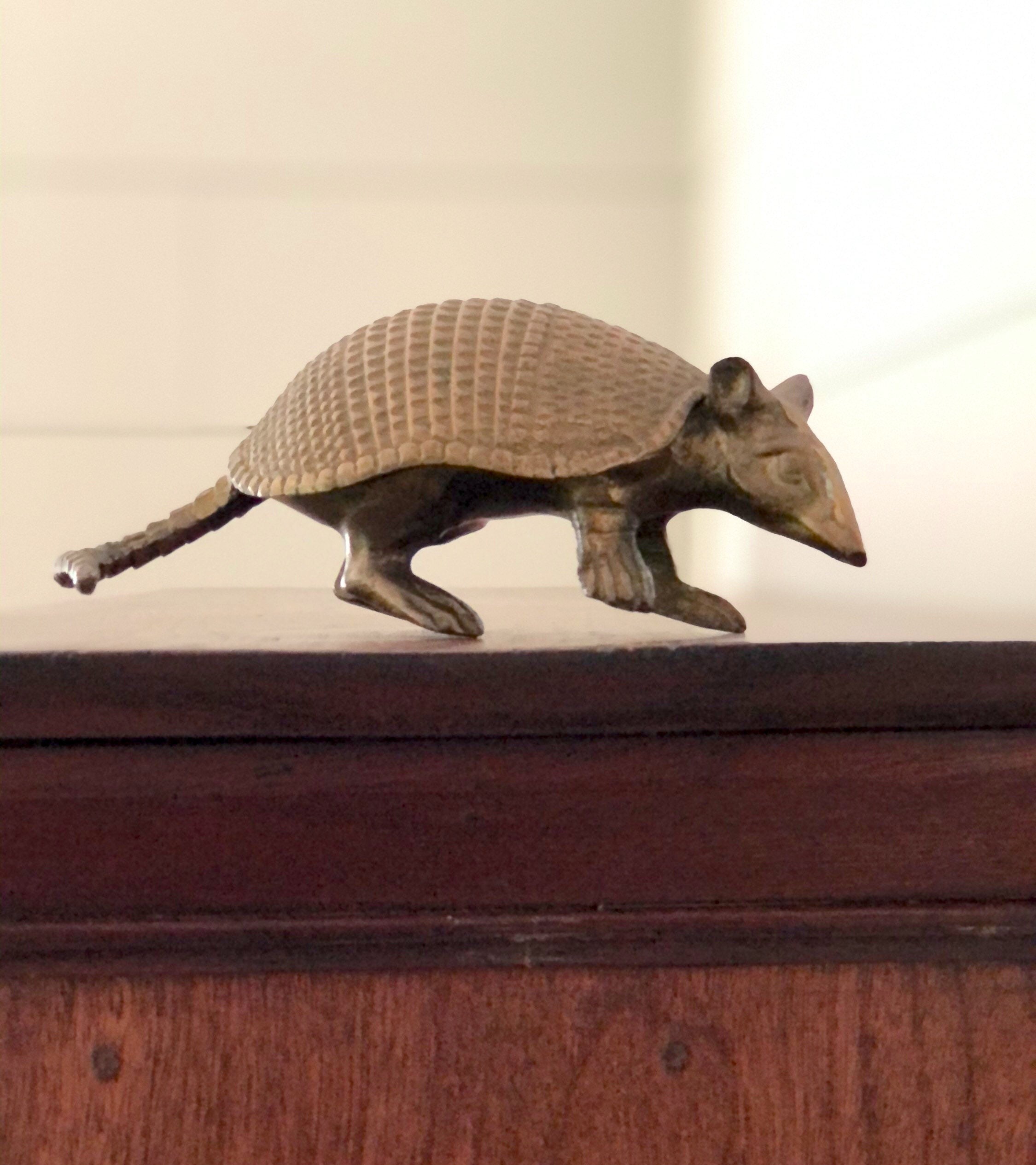 Brass Armadillo Gold Armadillo Southwest Decor Armadillo Etsy