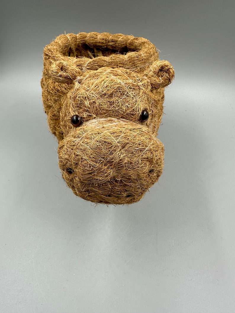 May include: A handcrafted, brown woven basket shaped like a hippopotamus head. The basket features dark, round eyes and a detailed snout. The open top provides space for storage or planting. The basket is made of natural fibers.
