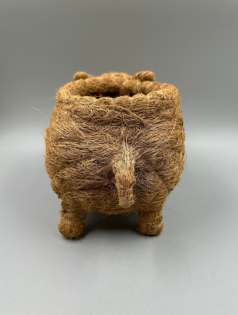 May include: A brown, woven planter shaped like a pig. The planter has four short legs, a small tail, and a wide opening at the top. The material appears to be made of natural fibers, giving it a rustic look. The planter is designed for small plants.