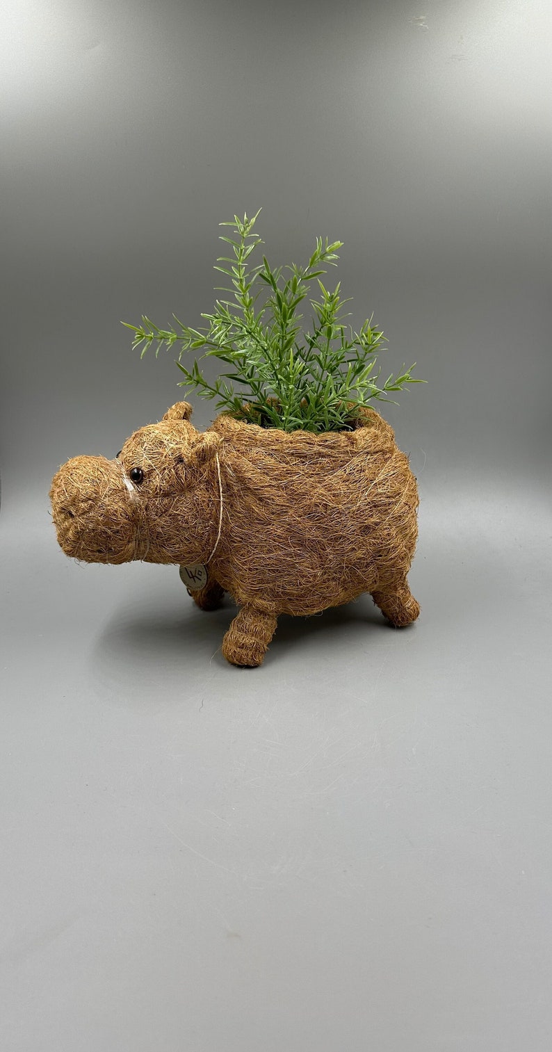 May include: A whimsical, brown hippo-shaped planter made from woven material. The planter is filled with green, leafy faux plants. The hippo has small, dark eyes and four stubby legs. A decorative tag hangs from the hippo's side.