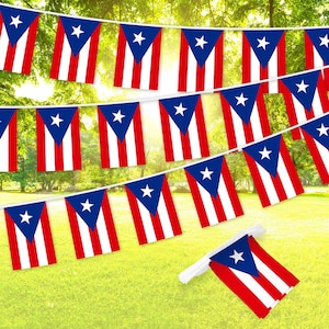 May include: A string of red, white, and blue bunting flags with a star design. The flags are strung together with white string and are hanging from a tree branch. The flags are in the shape of a triangle and have a white star in the center of each flag.