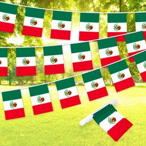 Mexican Flag Bunting Banner: 33 ft Polyester Fiesta Decorations