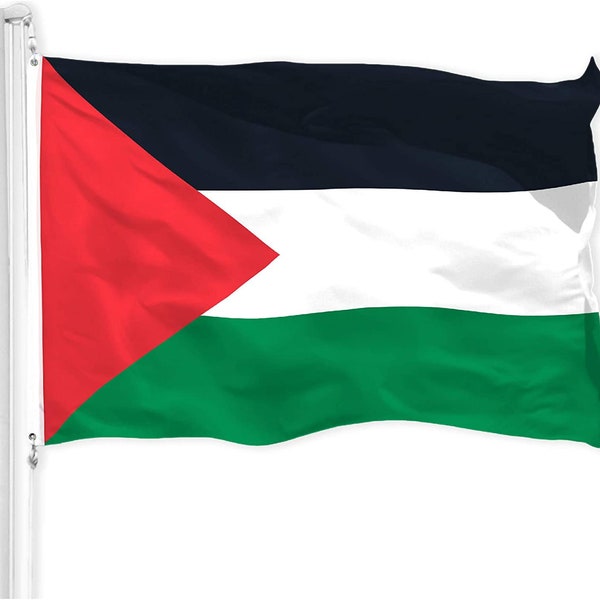 G128 Palestine Palestinian Flag | 3x5 feet | Printed 150d – Indoor/Outdoor, Vibrant Colors, Brass Grommets, Quality Polyester