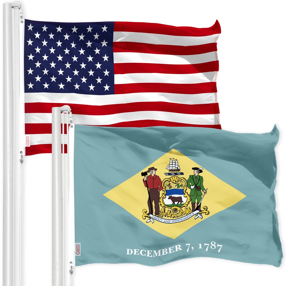 Bandiera Delaware Milizia Figli Della Libertà 3x5 Piedi – Striscione In Poliestere Con Occhielli