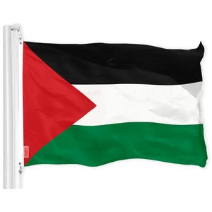 Palestinian Flag: Vibrant 150D Polyester, 3x5 ft, Brass Grommets