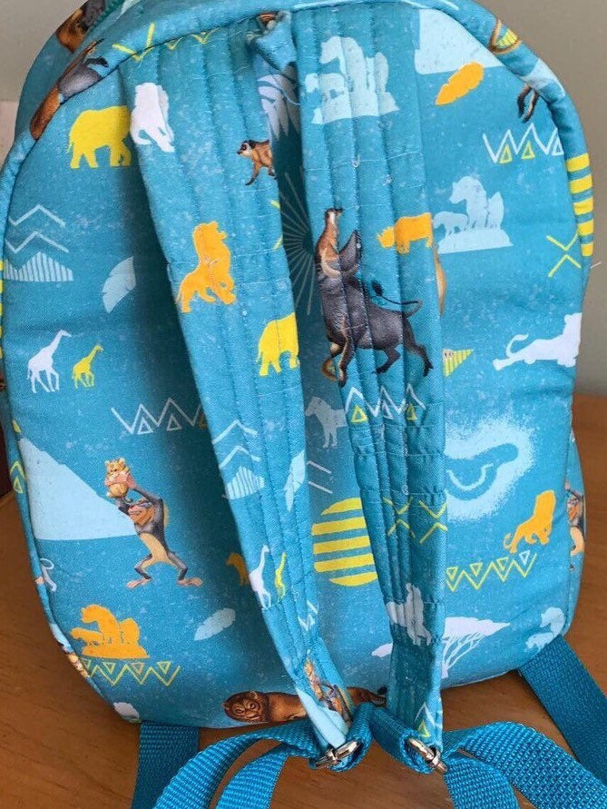 best camera case for backpacking