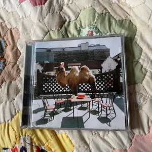 Puede incluir: Un camello marrón con un gorro de fiesta se encuentra frente a una valla de madera con cuatro sillas y una mesa delante. El camello está de pie en un patio de concreto.