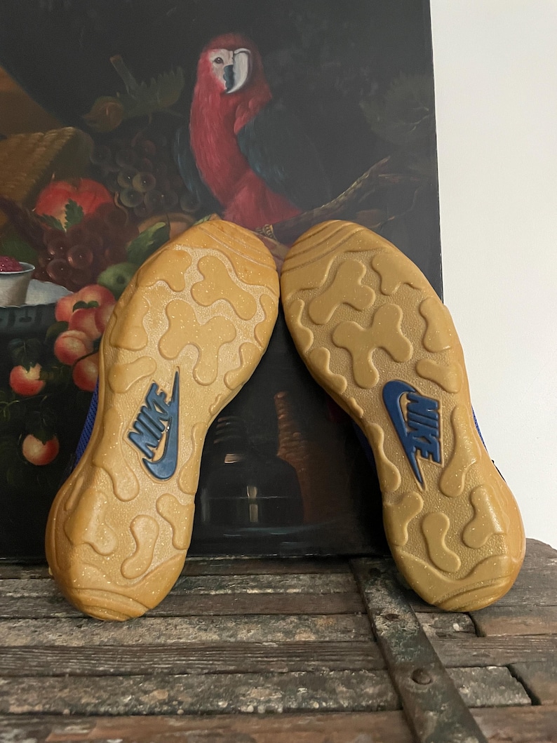 May include: Pair of Nike sneakers, soles up, showing a tan rubber outsole with a blue Nike logo. The shoes have a blue and tan color scheme. The background features a painting of a parrot and fruit.