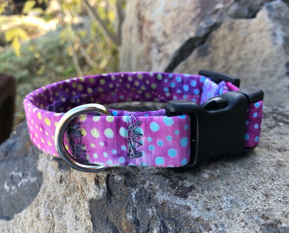 disco dog collar