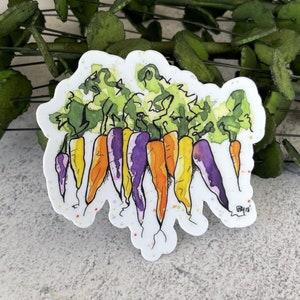 Sticker végétal en vinyle, Sticker carottes colorées, Sticker aquarelle, Sticker légumes, Sticker bouteille d'eau et ordinateur portable