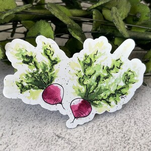 Radish Magnet, Vegetable Magnet, Watercolor Magnet, Colorful Carrots, Locker Magnet, Refrigerator Magnet