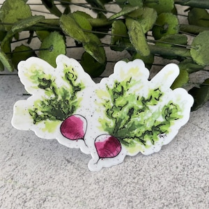 Sticker vinyle végétal, Sticker radis, Sticker aquarelle, Sticker légumes, Sticker bouteille d'eau et ordinateur portable