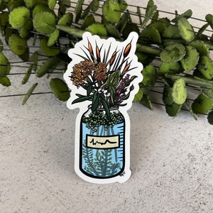 Science Magnet, STEM Magnet, Wetlands Magnet, Science Lab Magnet, Scientist Locker Magnet, Refrigerator Magnet