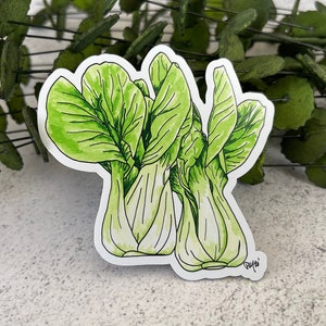 Bok Choy Magnet, Vegetable Magnet, Watercolor Magnet, Stir Fry Magnet, Locker Magnet, Refrigerator Magnet