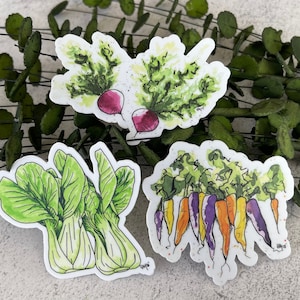 Imán de zanahoria, Imán Bok Choy, Imán de rábano, Imanes vegetales, Arte vegetal, Imán de taquilla, Imán de refrigerador