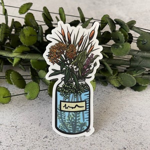 Pegatina de humedal, Plantas de humedales, Pegatina de botánico, Pegatina de ciencia, Pegatina de mujeres en la ciencia, Pegatina de laboratorio, Botella de agua y calcomanía de computadora portátil