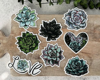 Succulent Stickers, Succulent Gift, Sticker Set, Succulent Lover, Succulent Vinyl Stickers, House Plant Sticker, Crazy Plant Lady