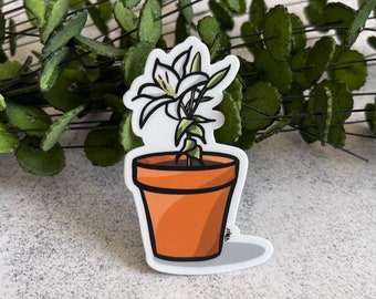 Potted Plant Sticker, Floral Sticker, Lily Sticker, Houseplant Decal, Plant Decal, Water Bottle & Laptop Decal