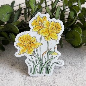 Daffodil Magnet, Floral Magnet, Watercolor Magnet, Yellow Flower Magnet, Locker Magnet, Refrigerator Magnet