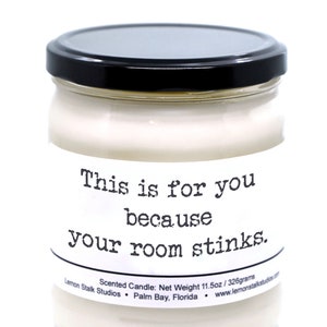 Funny Candle, Scented Candle, Gift for Teen, Teenage Boy, Teenage Girl, Gift for Son, Gift for Daughter, Graduation Gift