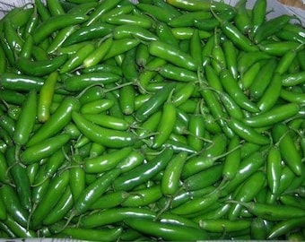Serrano Pepper Seeds bin75