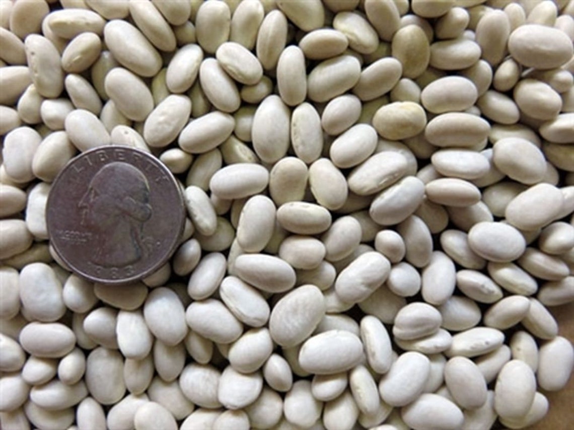 State Half Runner Green Bean Seeds Etsy