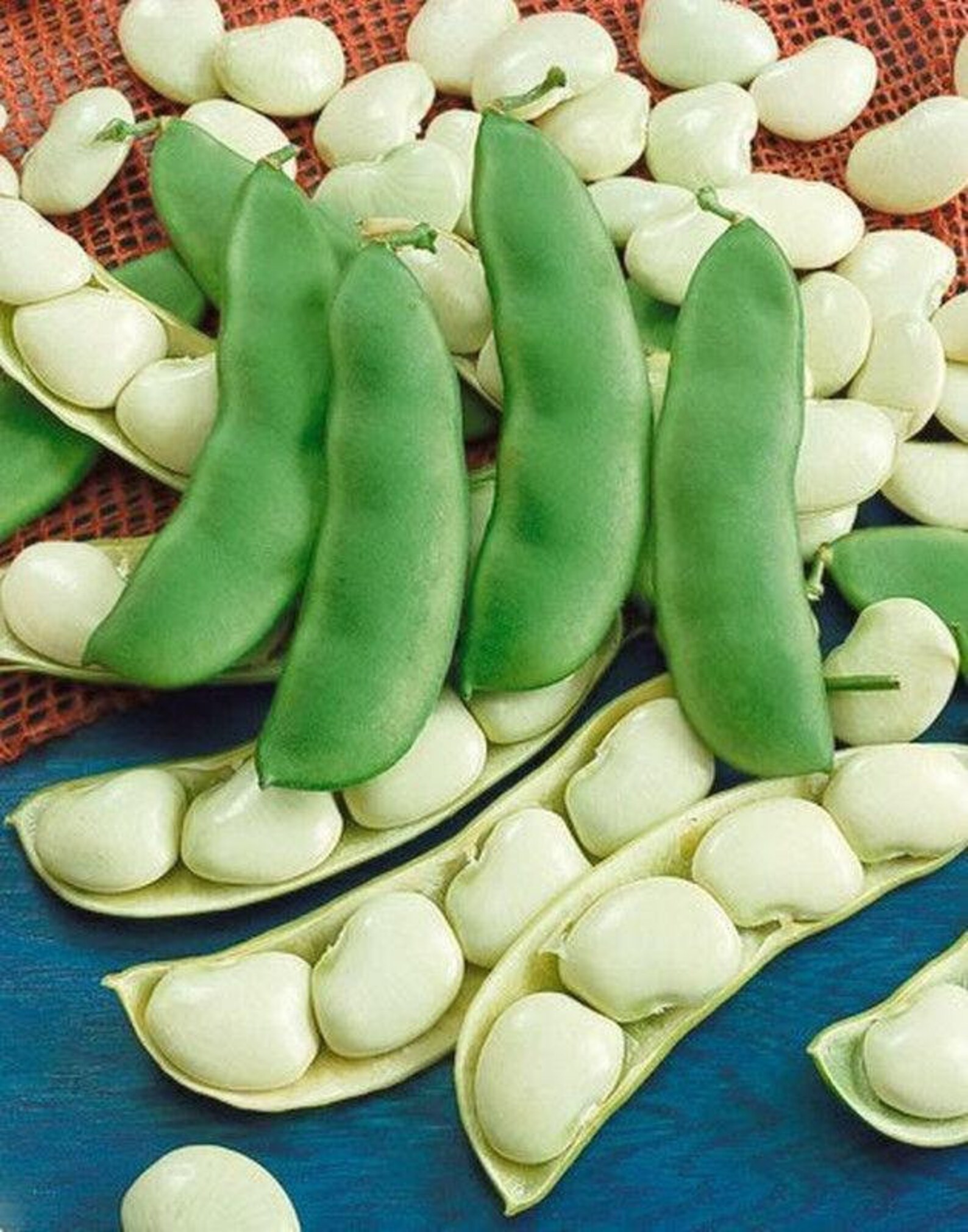 Henderson Baby Lima Bean Seeds Etsy