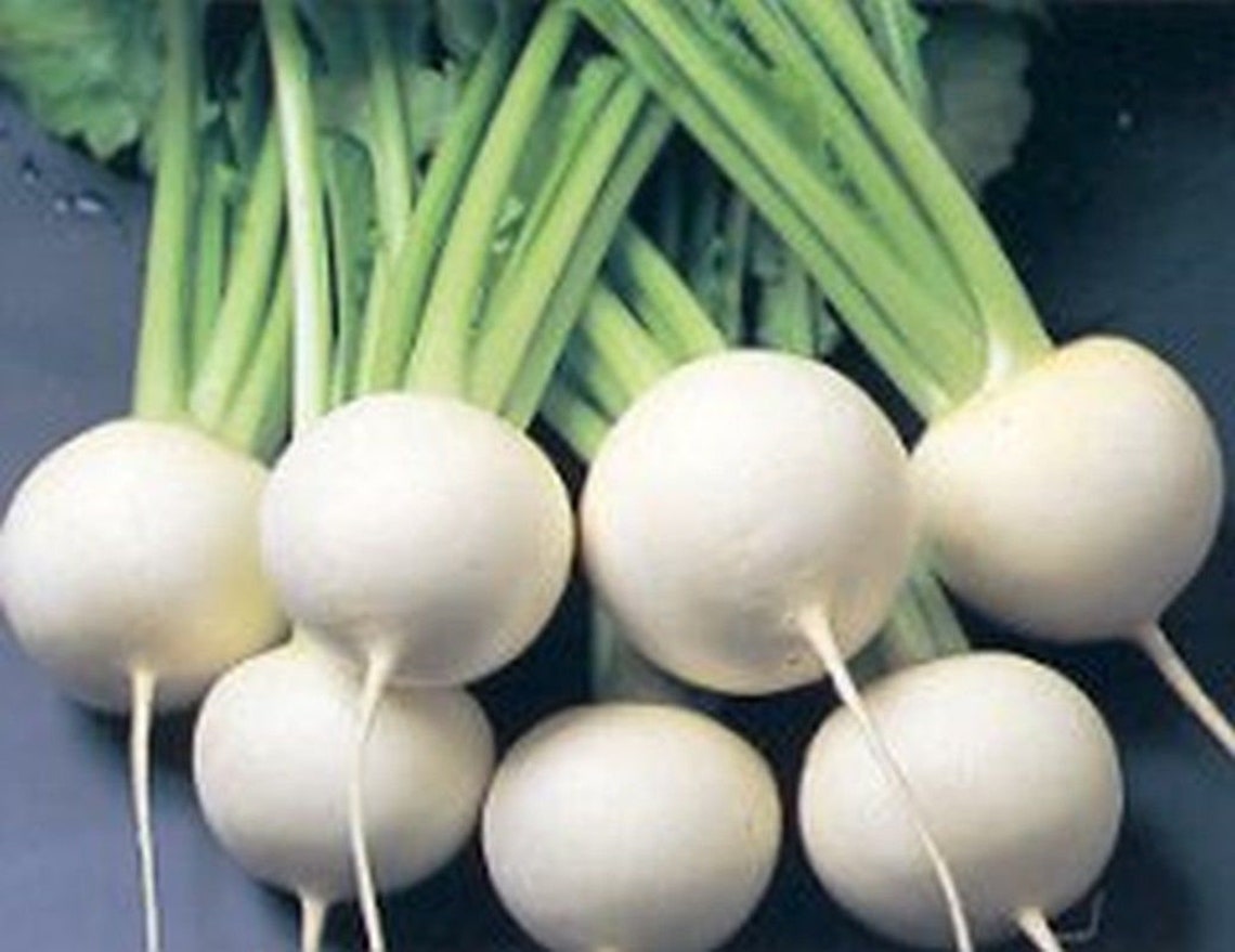 Hakurei Hybrid Japanese Turnip Seeds Etsy