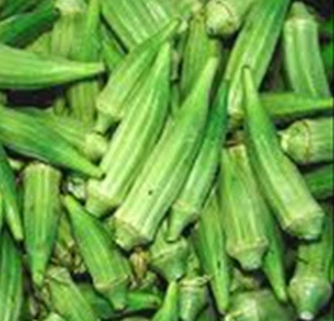 Emerald Green Okra Seeds Etsy