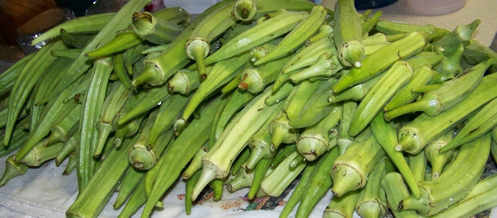 Texas Longhorn Okra Seeds Etsy